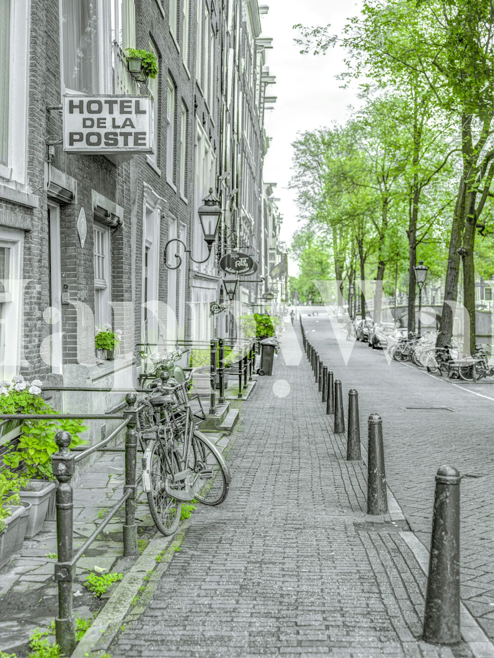 Amsterdam Canal Street in spring wallpaper