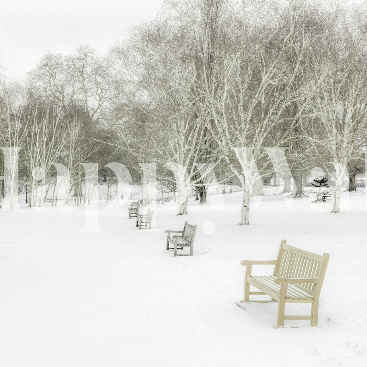 White Winter wallpaper in a room setting