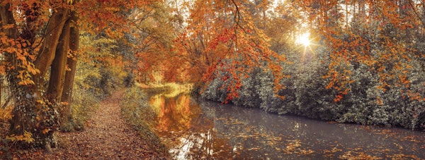 Autumn Forest River Sunset