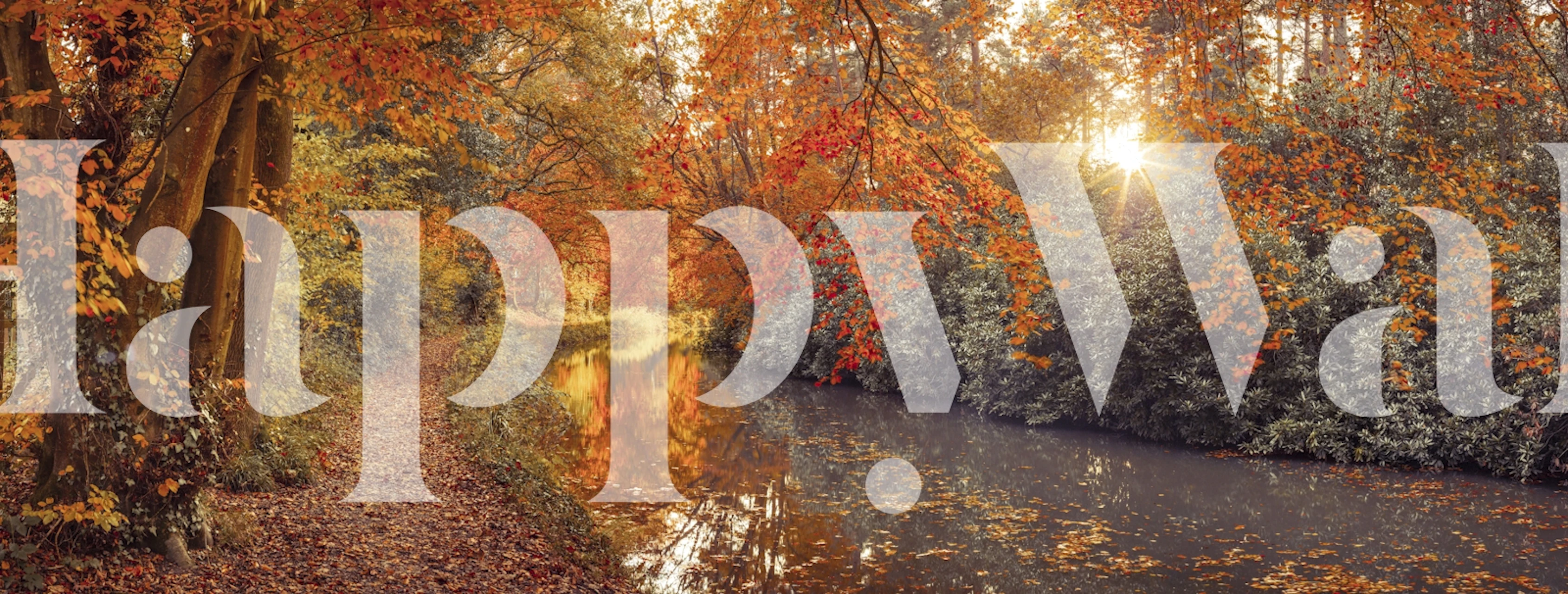 Papel de parede pôr do sol no rio e floresta de outono em um cômodo