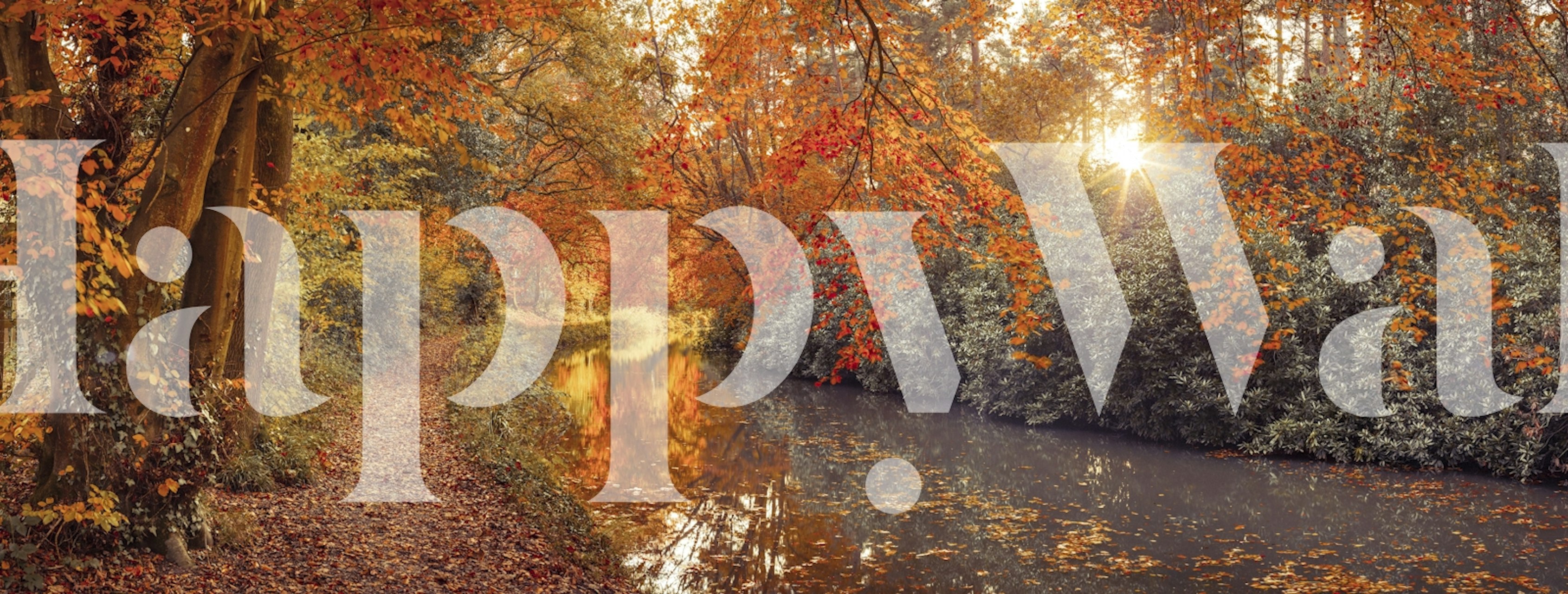 Autumn forest river sunset wallpaper in a room