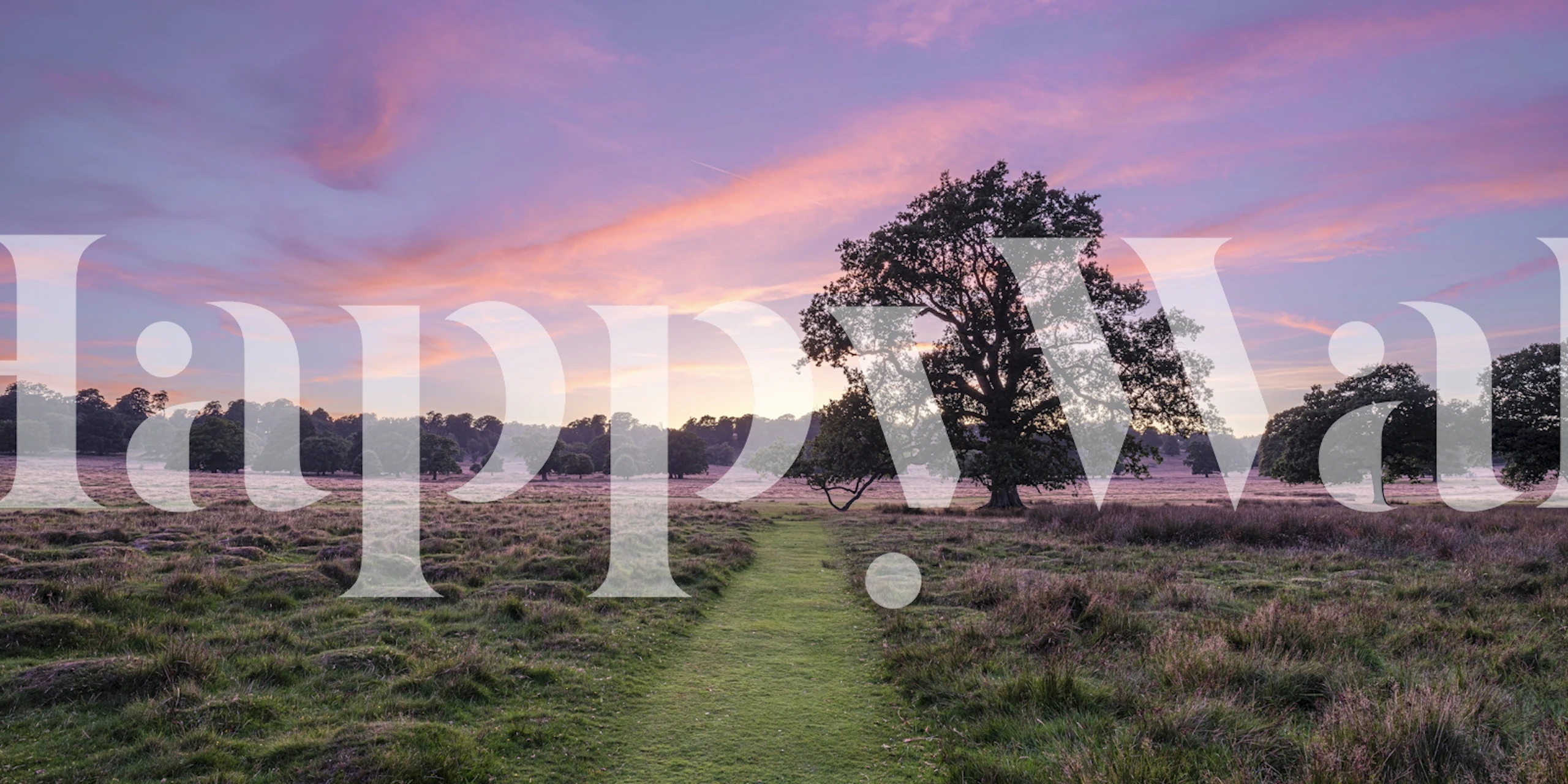 Lonely oak tree at dawn wallpaper in a room