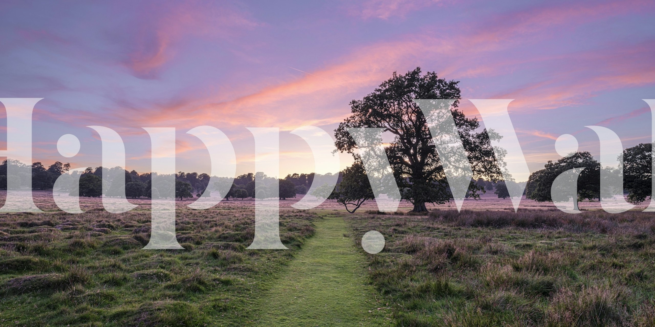 Lonely oak tree at dawn wallpaper in a room