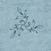 Minimalist Inky Leaves - Soft Teal wallpaper