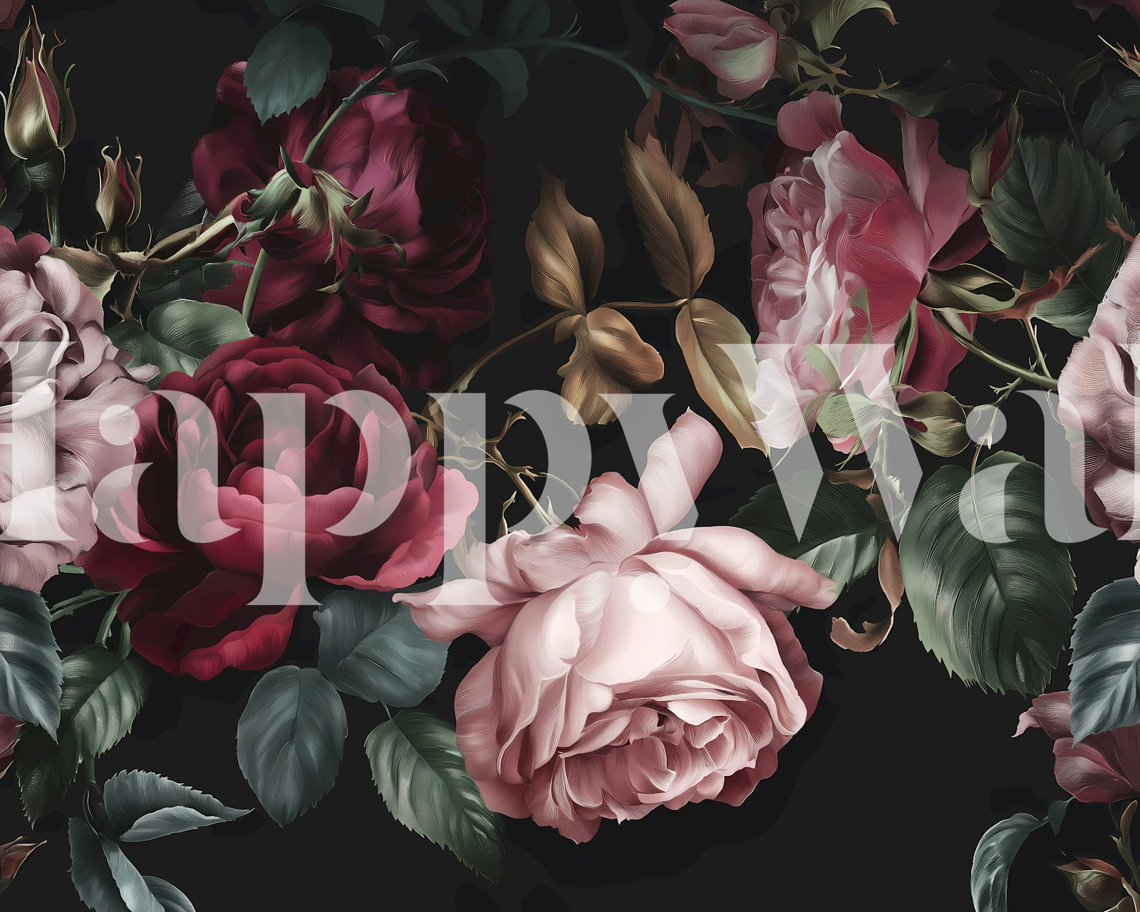 Dark rose wallpaper in a room with black background