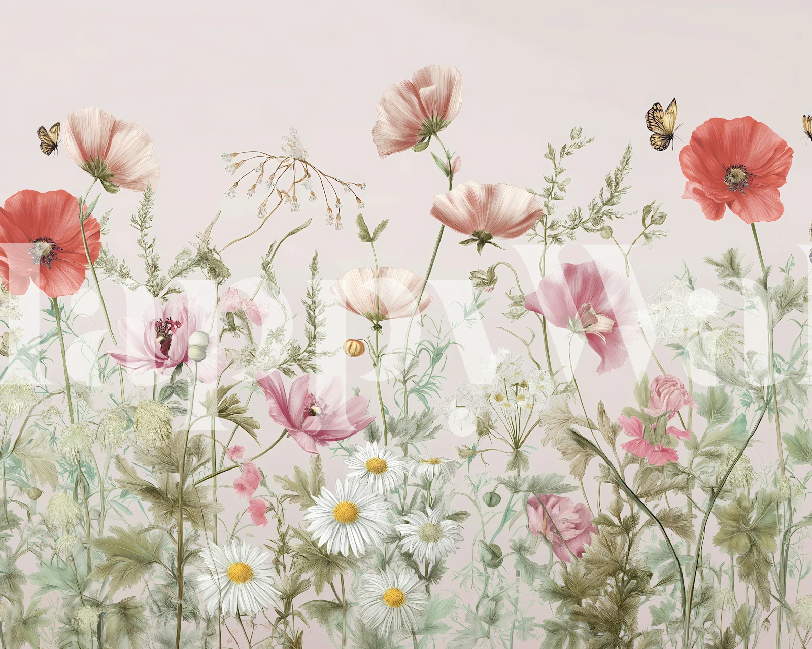 Floral wallpaper with poppies and daisies