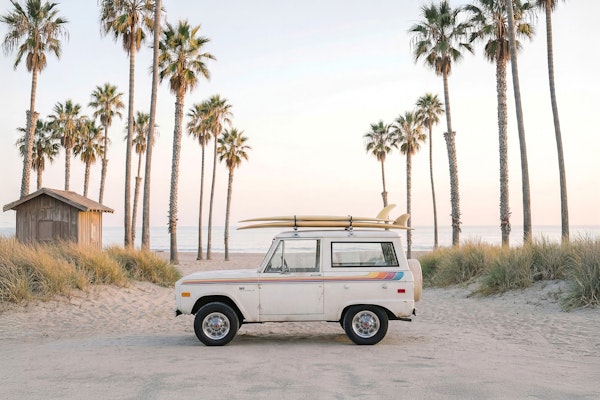 Coastal Surf Trip Sunset Palms