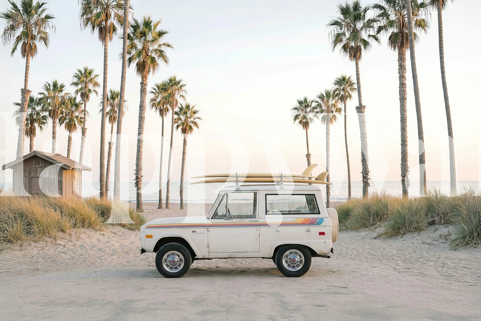 Coastal Surf Trip Sunset Palms wallpaper in a room