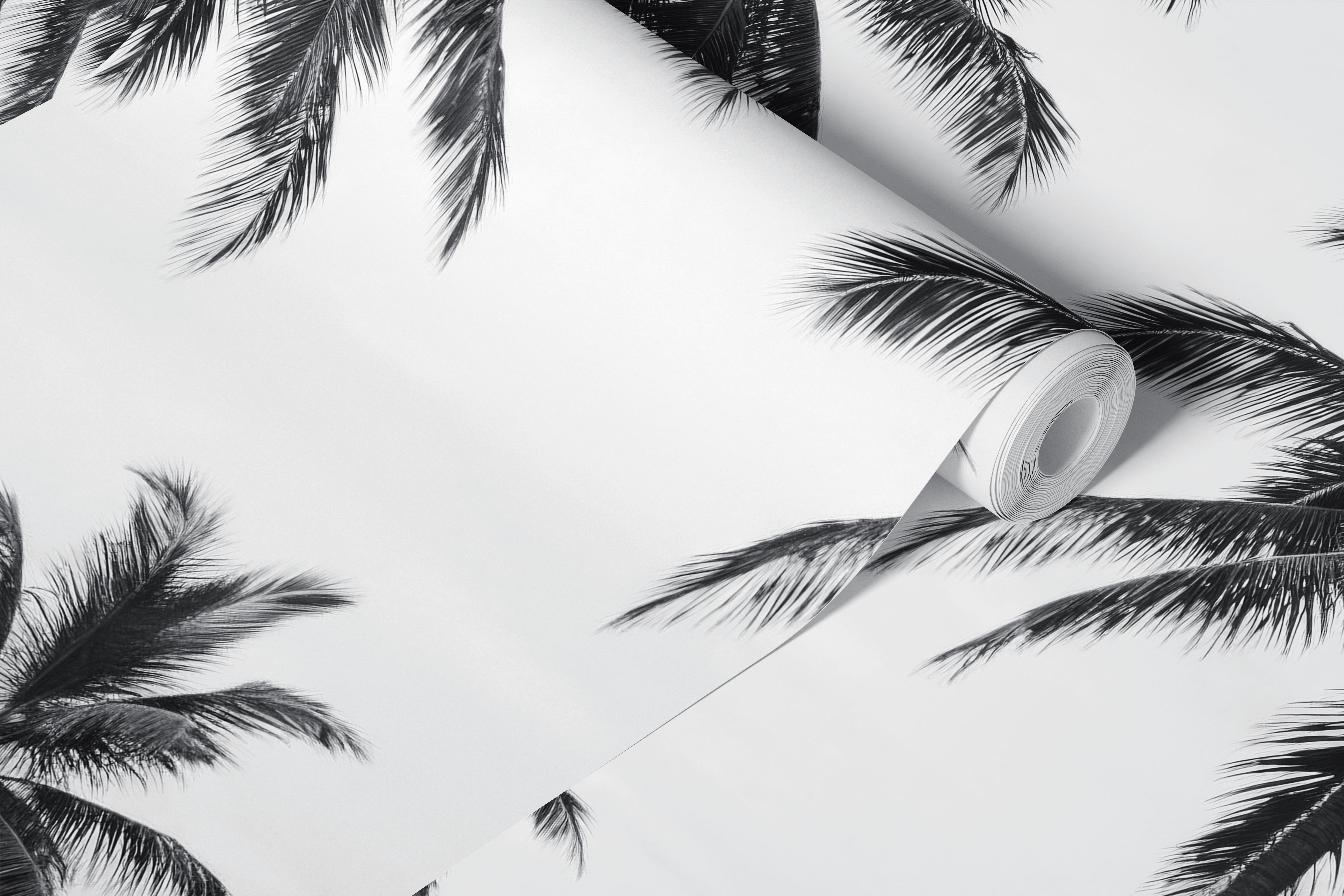 Black and white palm beach view wallpaper