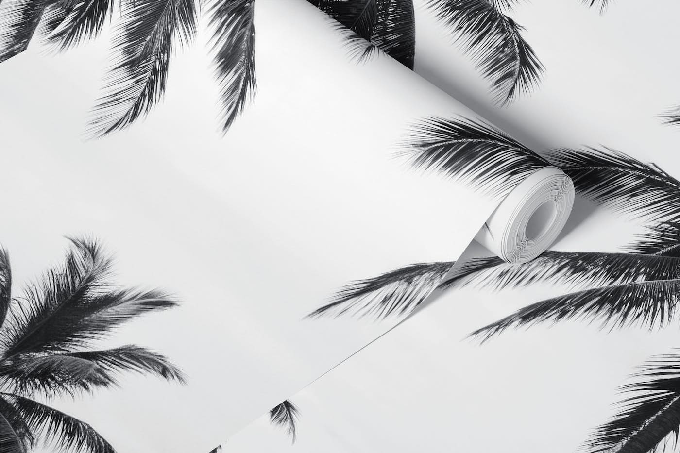 Black White Palm Beach View wallpaper roll
