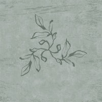 Japandi Calligraphy Leaves - Sage Green behang