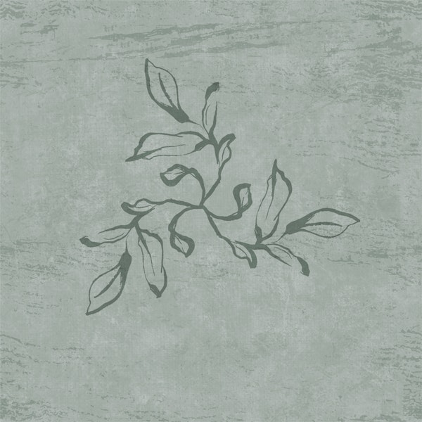 Japandi Calligraphy Leaves - Sage Green