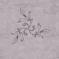 Japandi Calligraphy Leaves - Misty Mauve behang