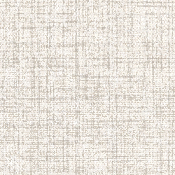 Rustic Natural White Woven Texture
