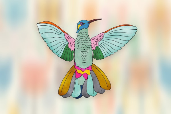 Rainbow hummingbird