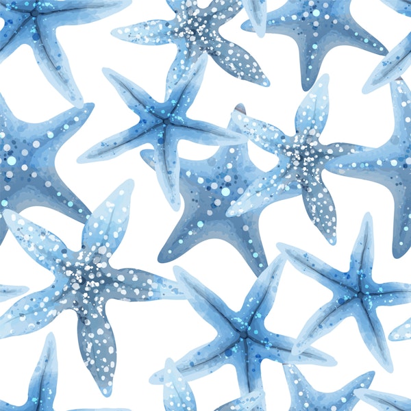 Seashell and Starfish Artwork