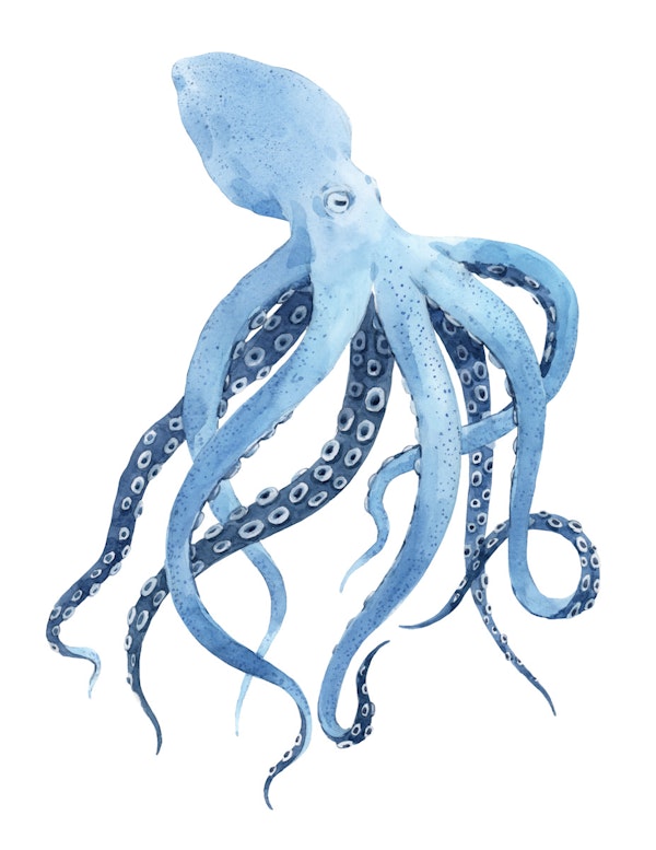 Whimsical Sea Life Art