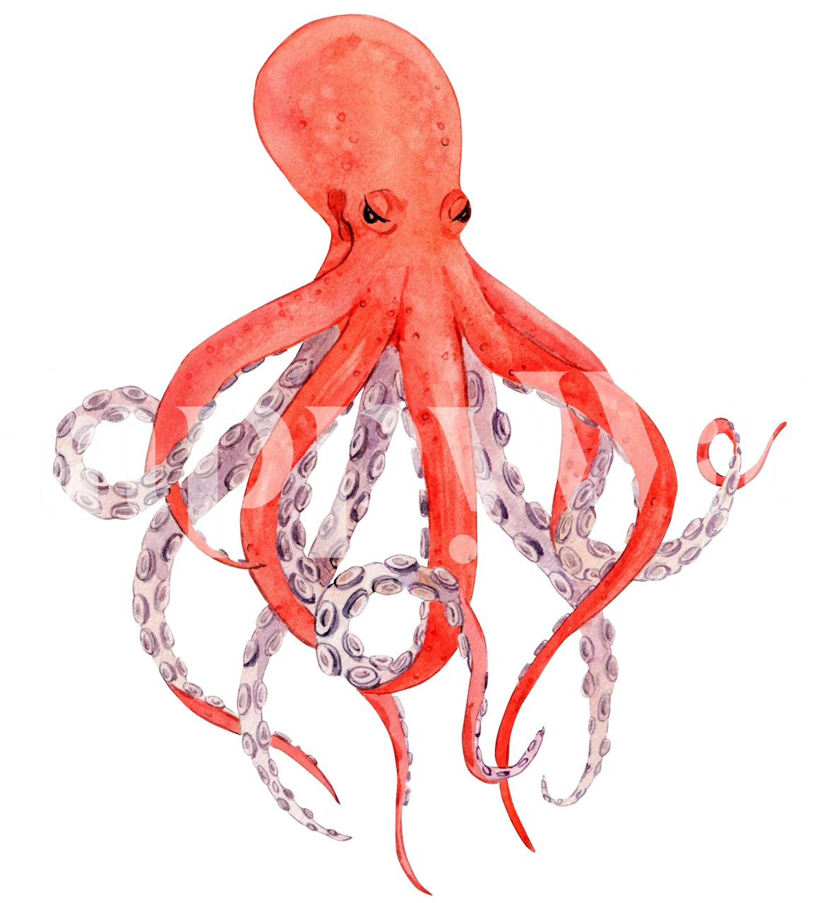 Vibrant octopus wallpaper in a room