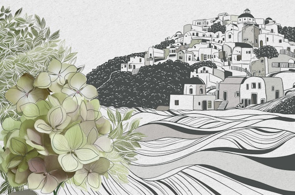 Hydrangea and Island Village