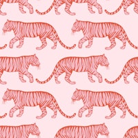 Flame Red Tigers on Soft Pink tapet
