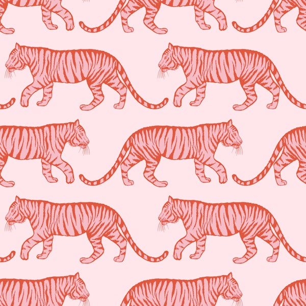 Flame Red Tigers on Soft Pink