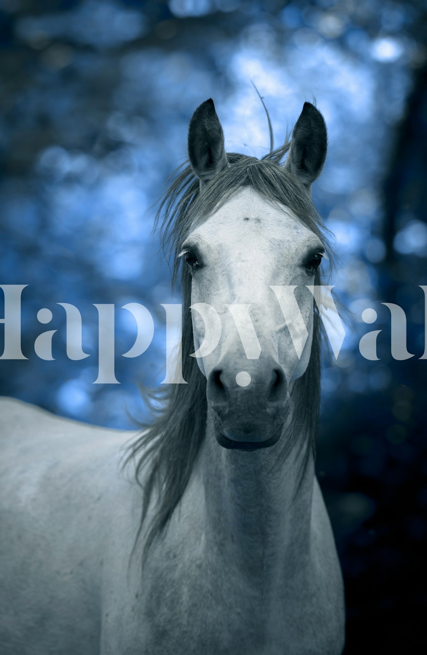 Stunning white horse wallpaper in a room