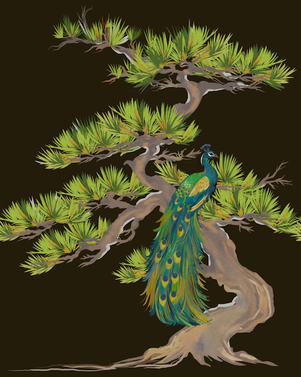 Elegant Peacock in Pine Tree Botanical