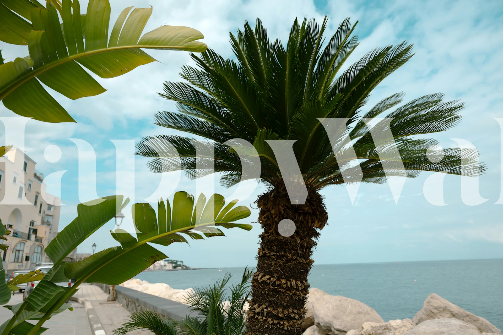 Palm tree wallpaper in a room