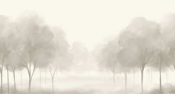 Misty Forest Retreat