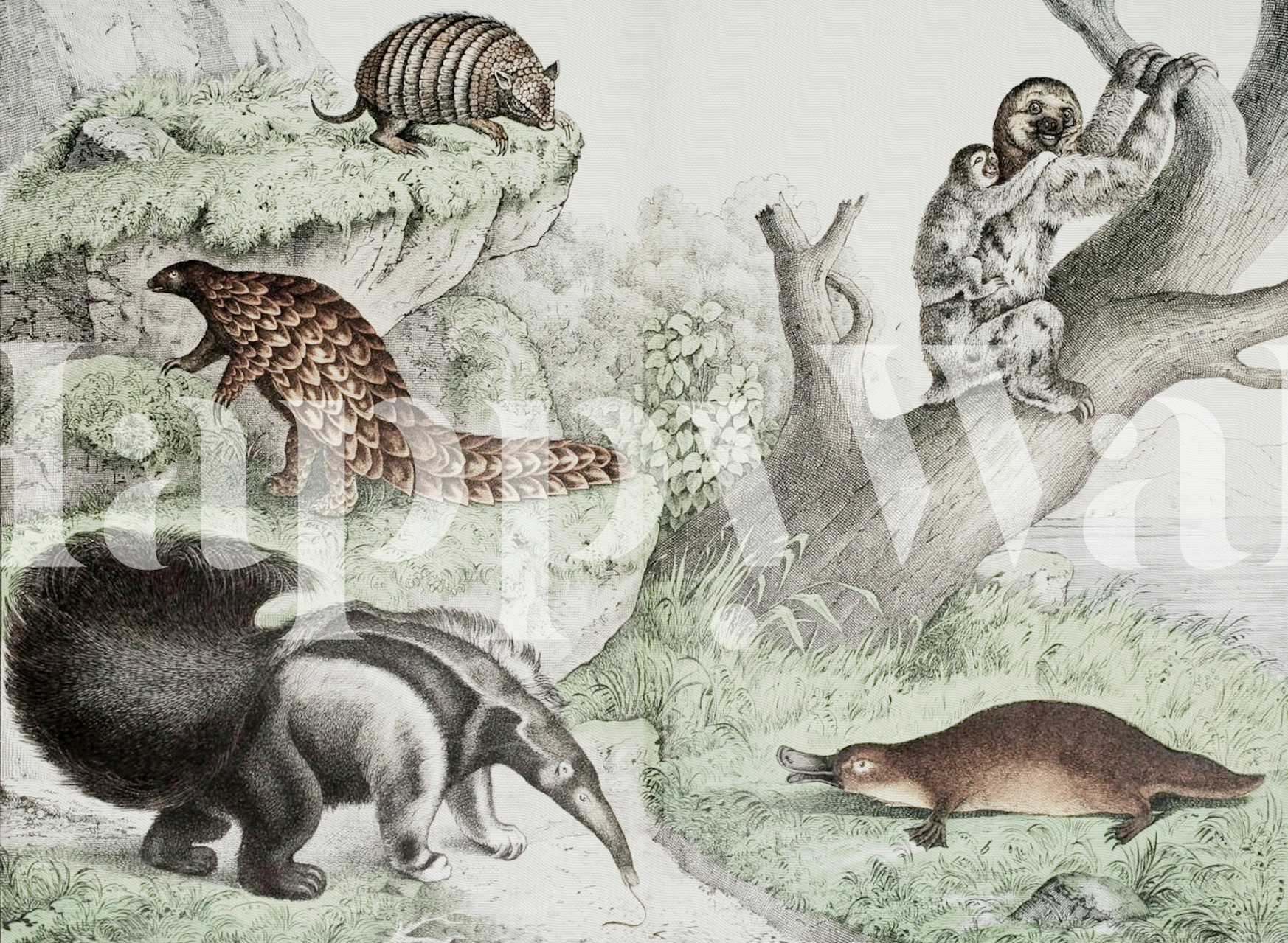 Toothless Animals tapetes dizains istabā