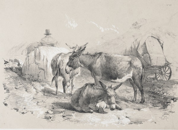 Three donkeys resting by a cart