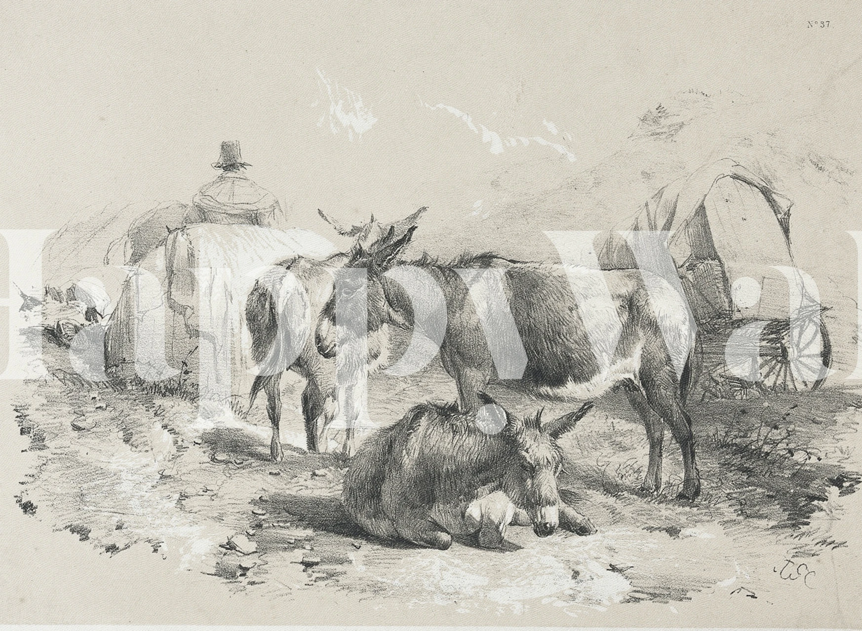 Wallpaper design of three donkeys by a cart