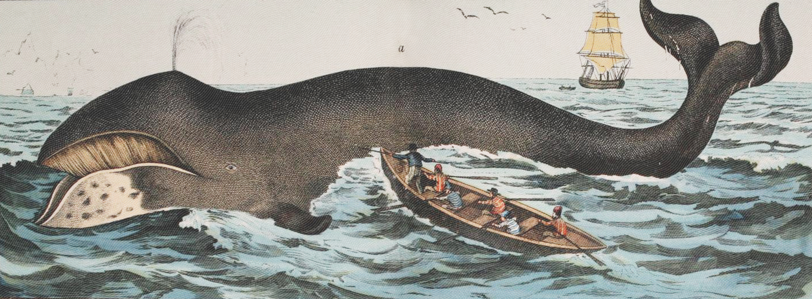 lithograph