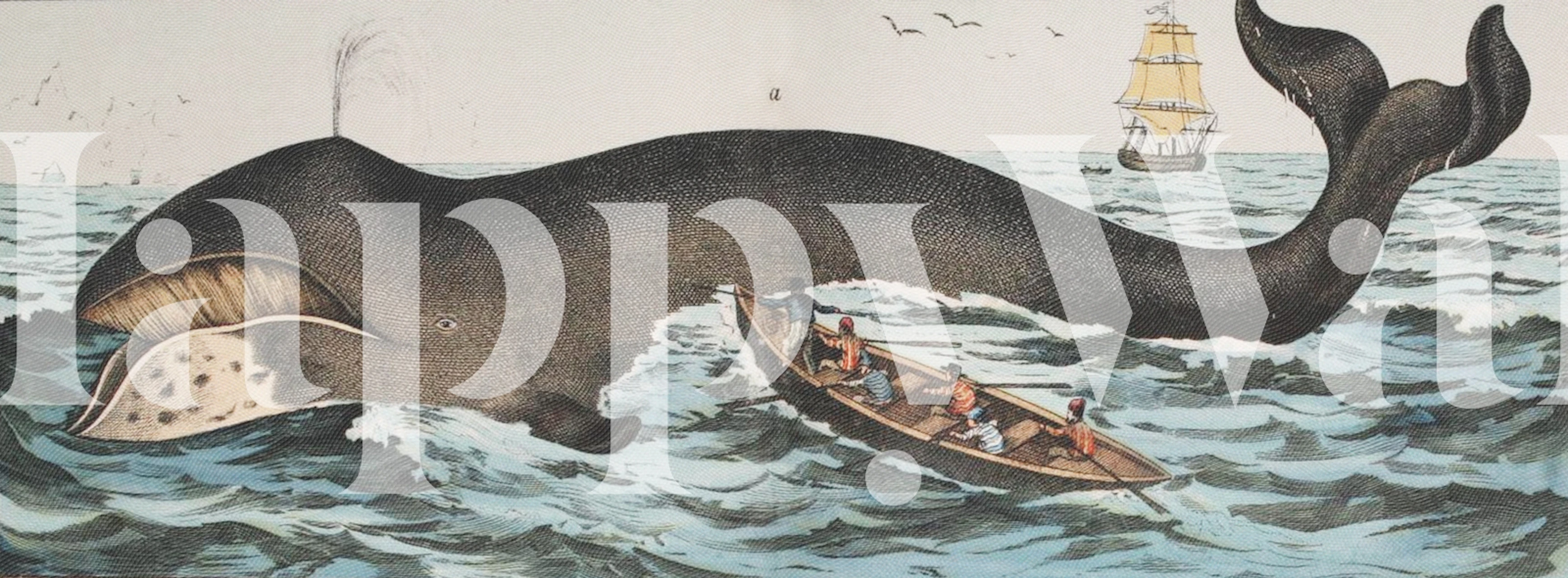 The Bowhead Whale tapete istabā