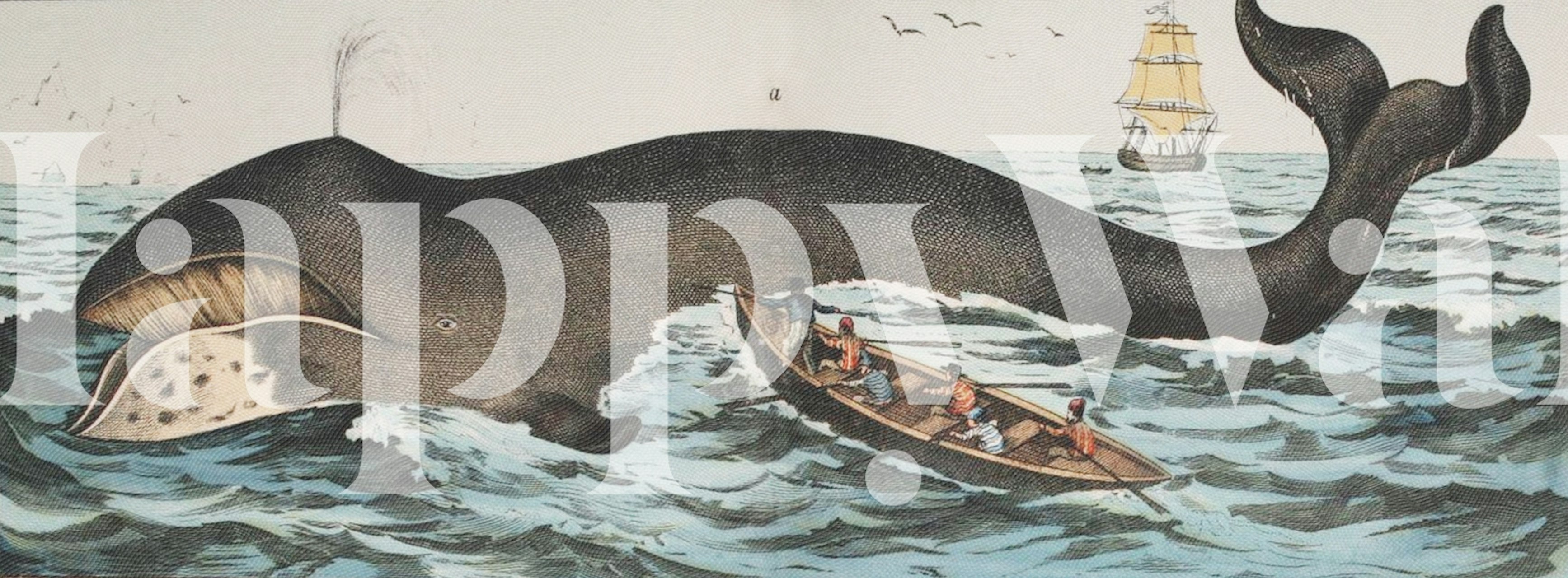 The Bowhead Whale tapetit