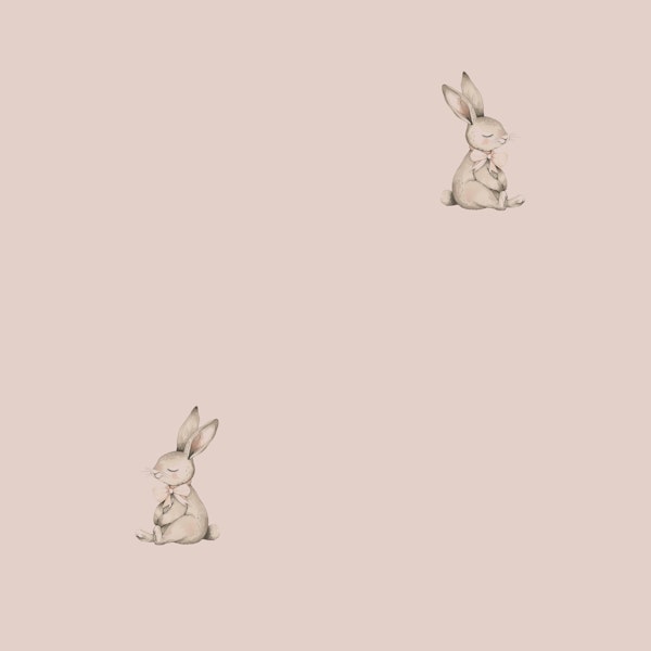 Little Bunny Rose Nursery