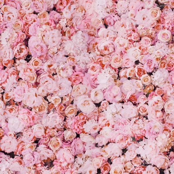 Blush Rose Garden Collage