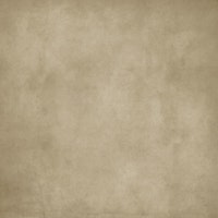 Dirty Paper - Chamois carta da parati