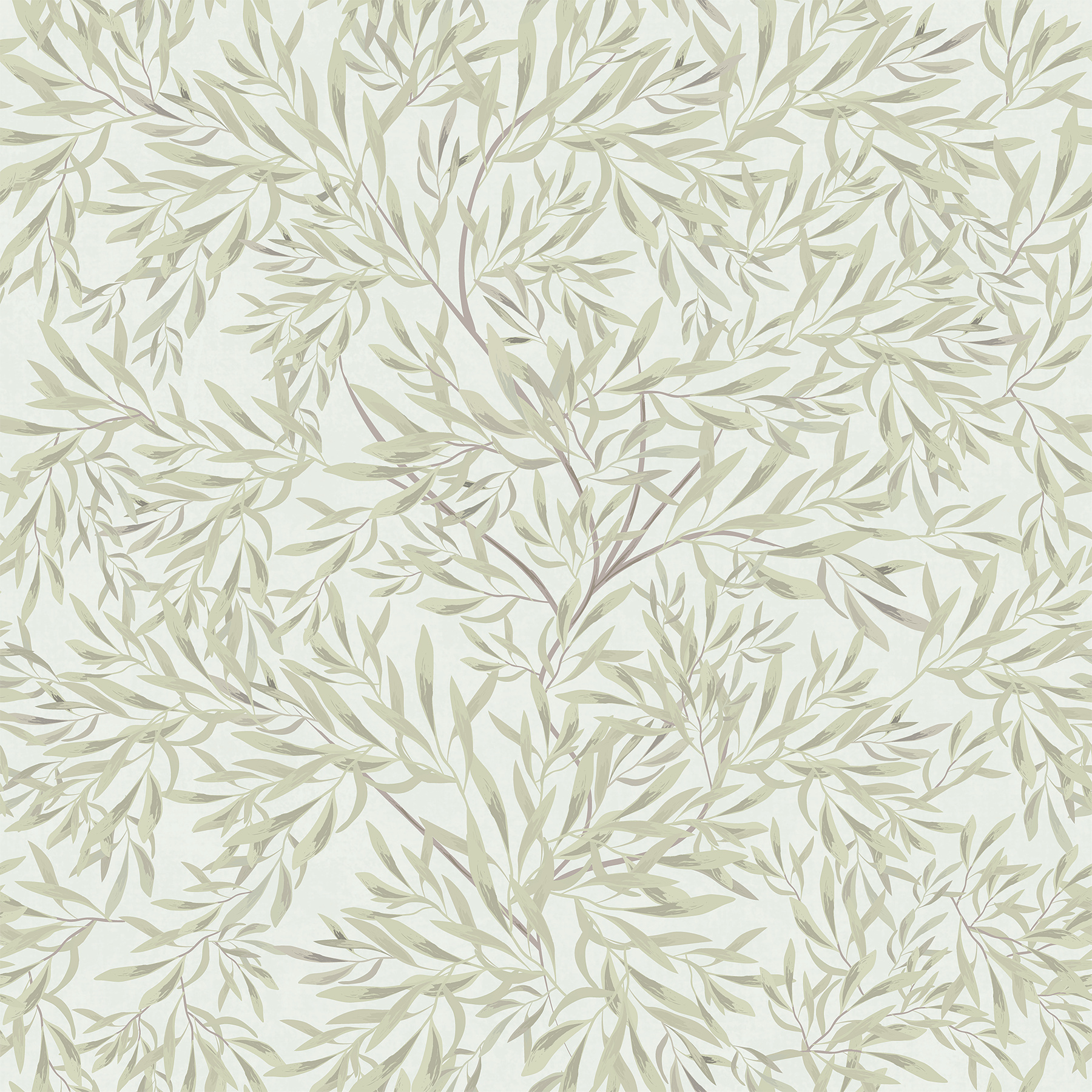 olivebranch