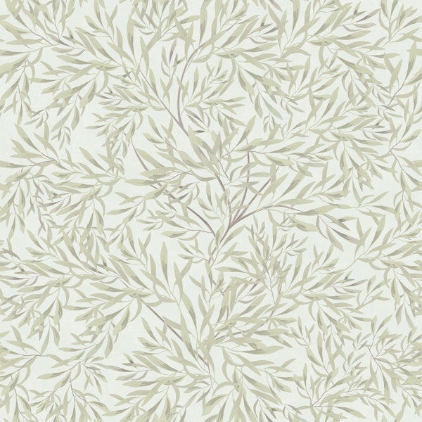 Serene Olive Tree Foliage - Light Olive Green