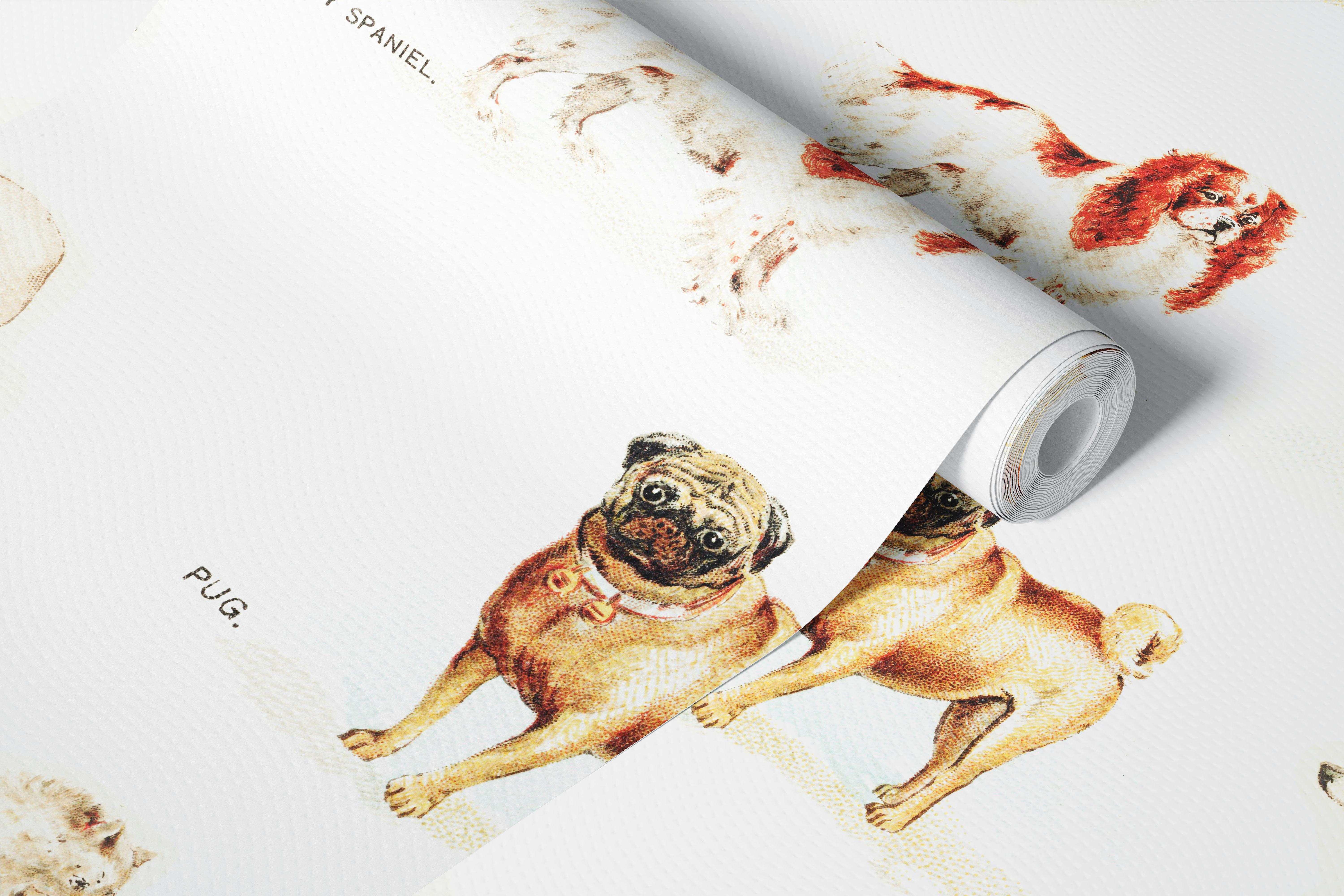 Dog Breeds Illustrations wallpaper in a room