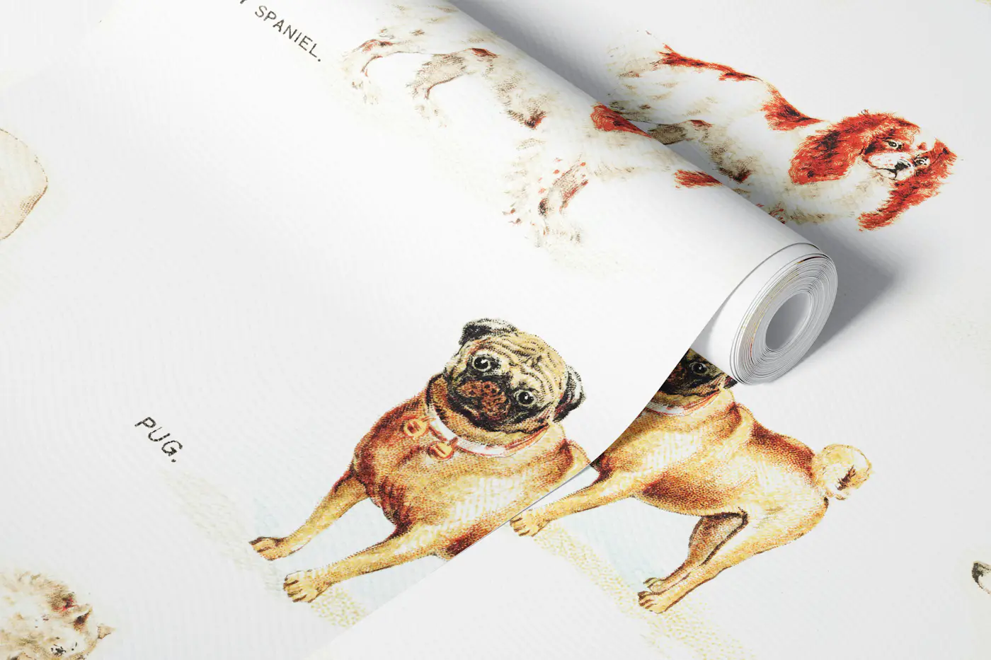 Dog Breeds Illustrations wallpaper roll