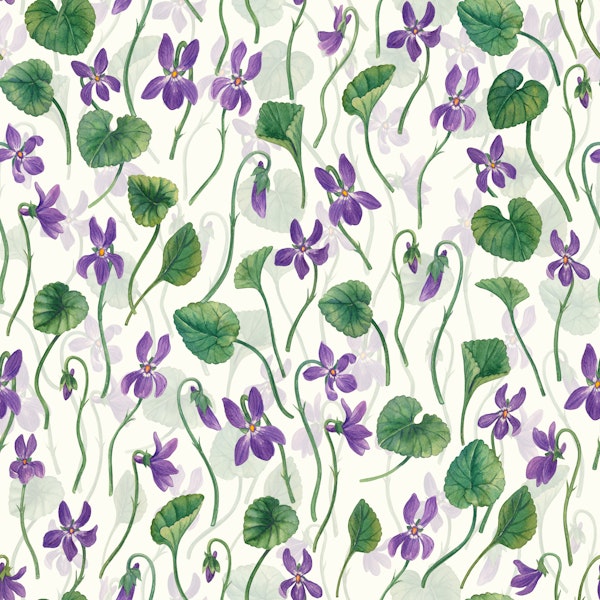 Watercolor violets on off white