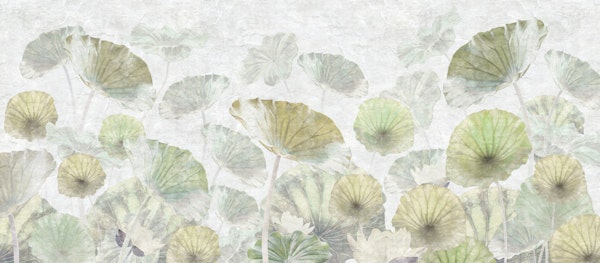 Soft Green Lotus Leaf Art