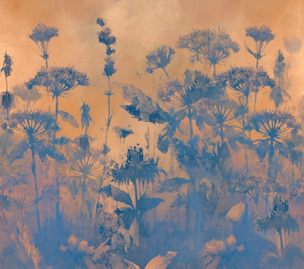 Pure Wildflower Meadow Botanicals