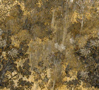 Autumn Forest Canopy tapete