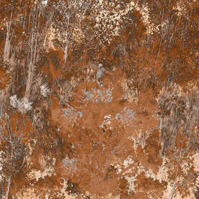 Motif horizontal