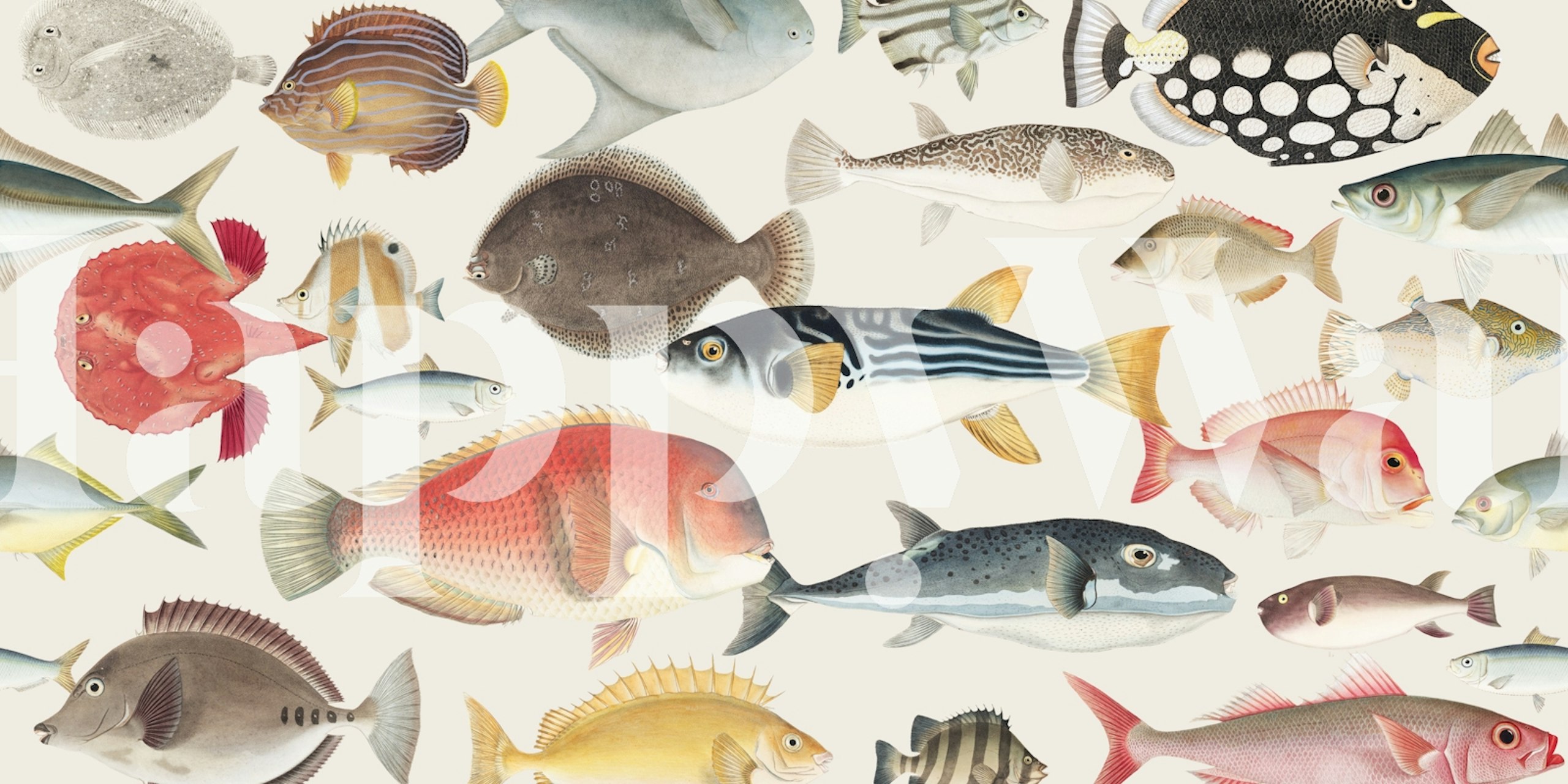 Oceanic fish design wallpaper in a room