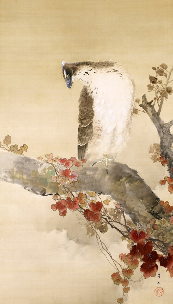 Serene Japanese Eagle at Rest