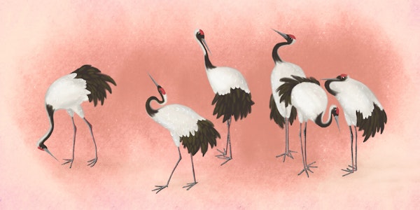 Cranes in Pink Harmony